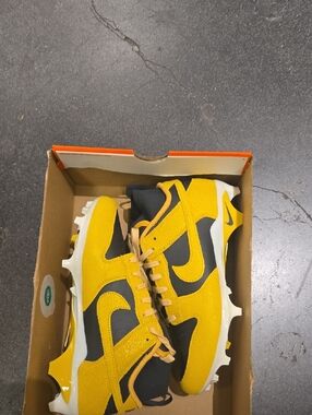 Nike Alpha Menace 4 Dunk SE Football Cleats (Anthracite/Pale Ivory/Solar Flare)